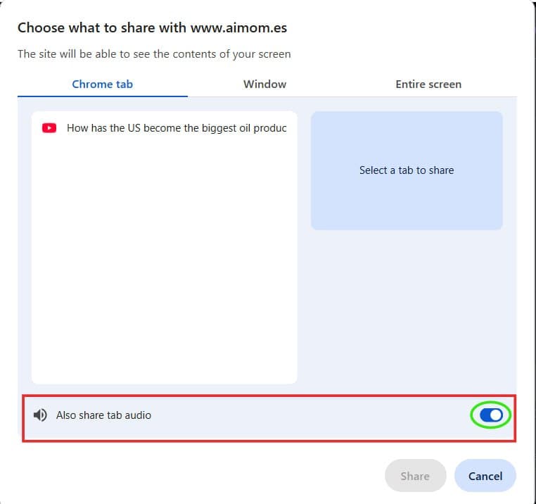 Screenshot showing the 'Also share tab audio' toggle